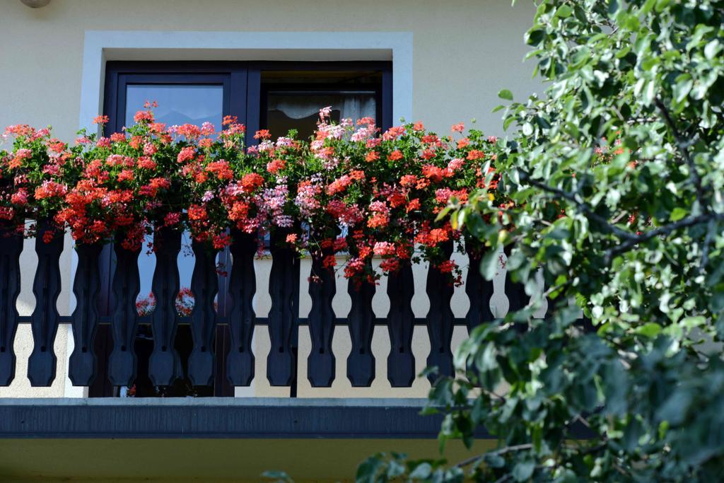 Apartment House Koprivnik Zrece Exterior photo